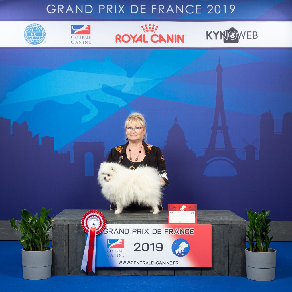 du jardin de Mesoz - grand prix de France 2019 pour nans blanc de brachy blanch