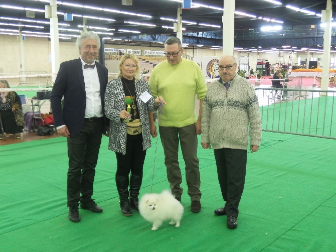 du jardin de Mesoz - LISTEL MEILLEUR BABY DE LA RE 2016