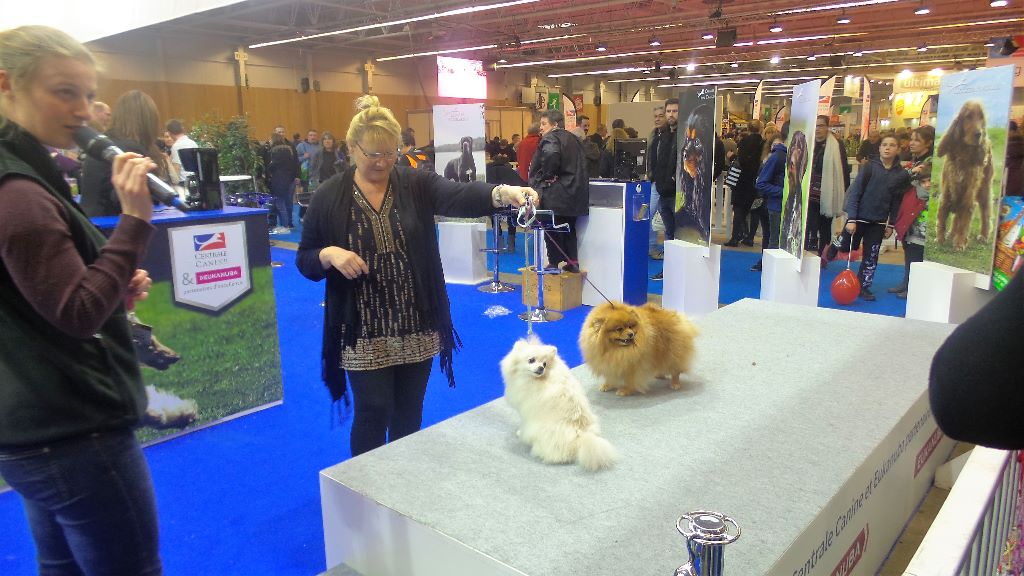 du jardin de Mesoz - SALON DE L'AGRICULTURE 2017