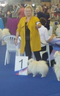 du jardin de Mesoz - Championnat de France 2019  NANS blanc de brachy blanche 