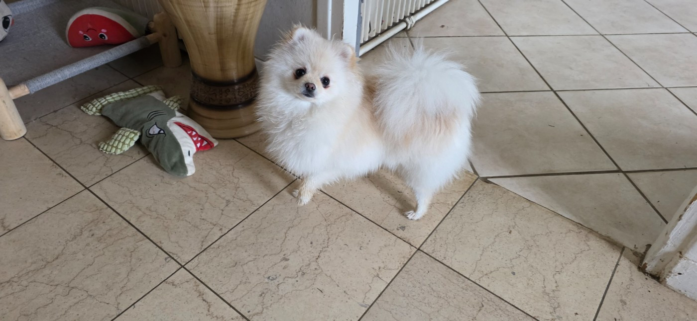 Alizee de brachy-blanche