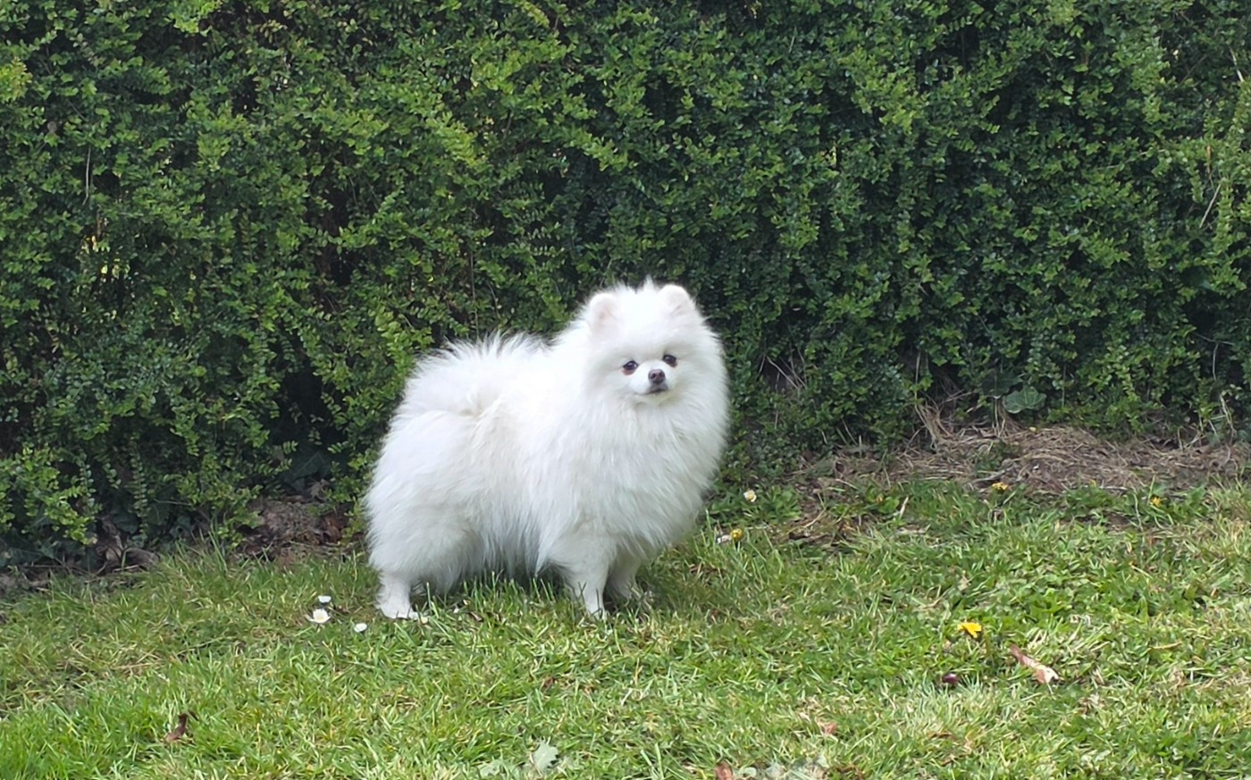 CH. du jardin de Mesoz UMIKA