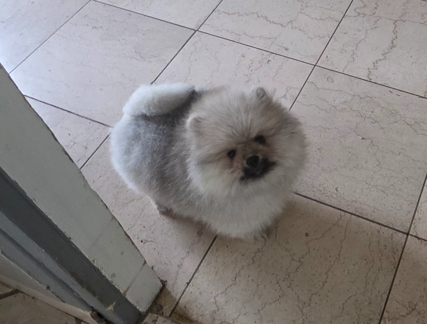 du jardin de Mesoz Bouille d'amour