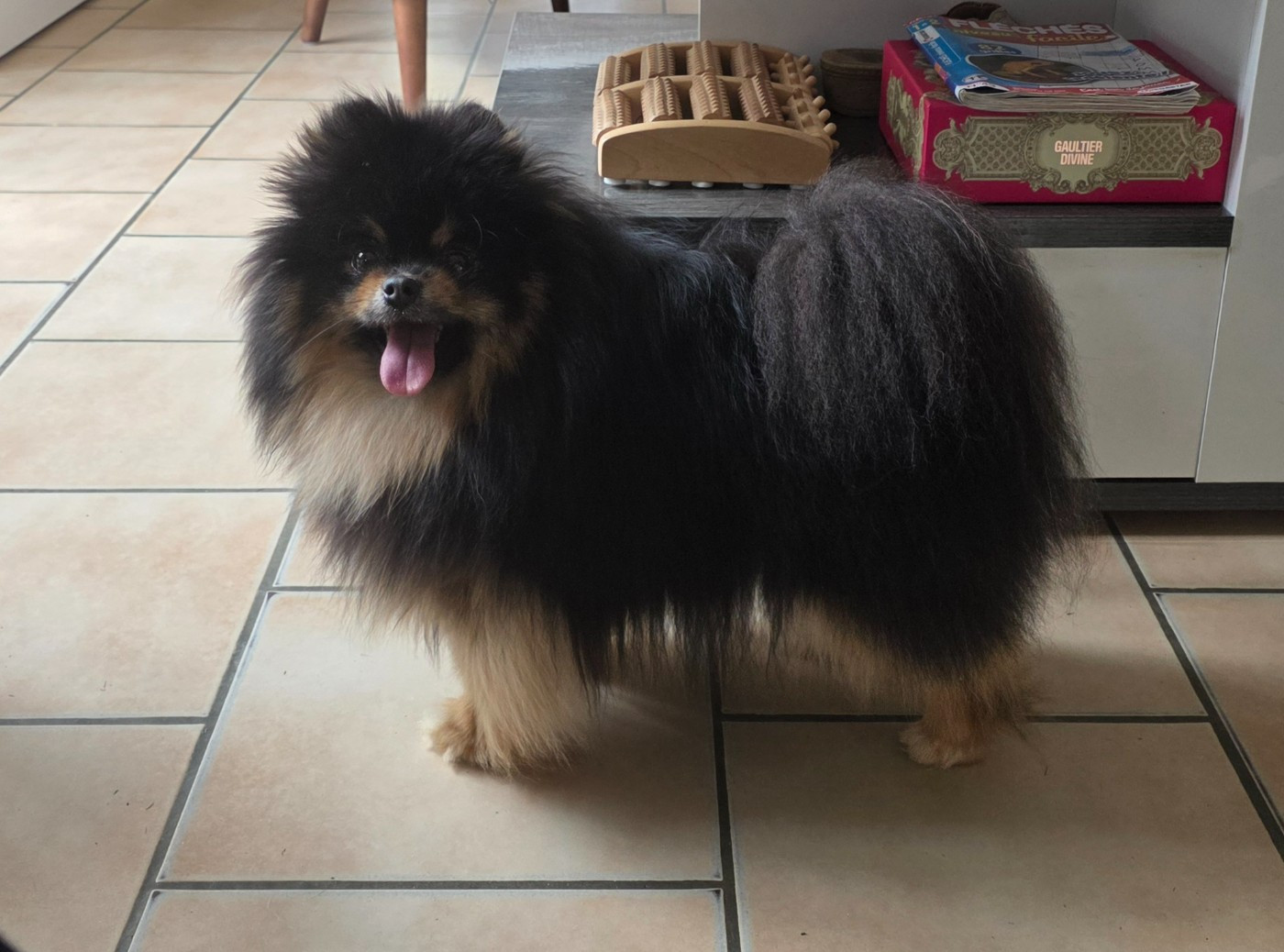 V' MINI du jardin de Mesoz