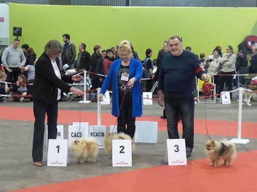 du jardin de Mesoz - IOUNA 1 ER -GREY 2 EME -INOHA 3 EME