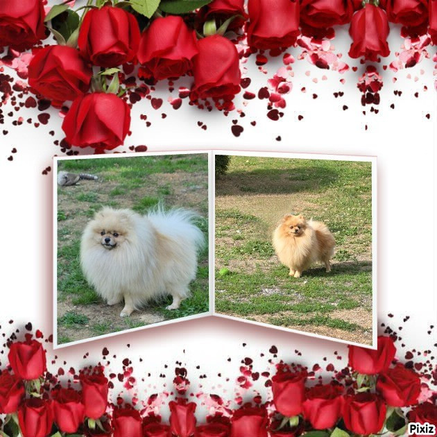 saillie v'dina du jardin de mesoz. Ulk de l éden de bragi