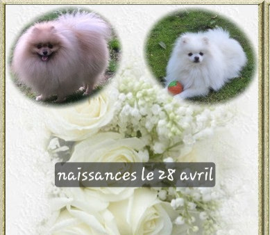 NAISSANCES 28 avril 2026