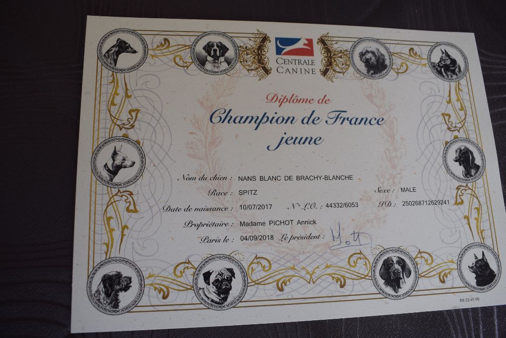 du jardin de Mesoz - NANS CHAMPIONNE DE FRANCE CLASSE JEUNE FEMELLE PETIT BLANC