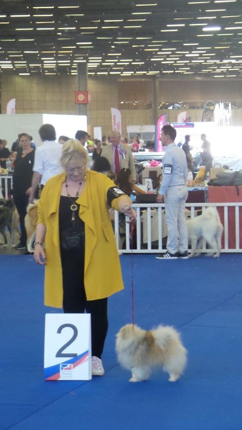 du jardin de Mesoz - Championnat de France 2019 Lupin du temple d adonis