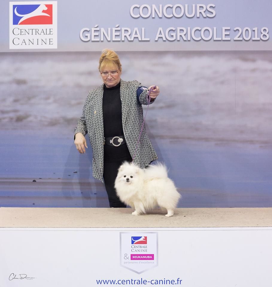 du jardin de Mesoz - listel au salon de l'agriculture du 03/03/2018