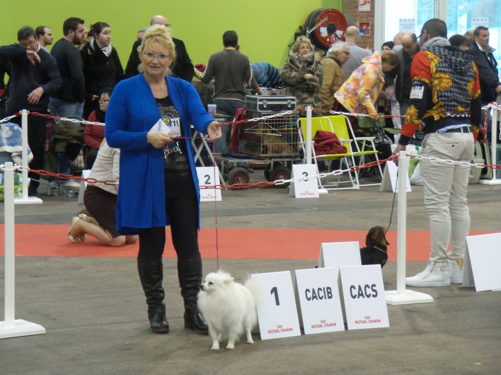 du jardin de Mesoz - resultats de l'expos de Troyes 2016