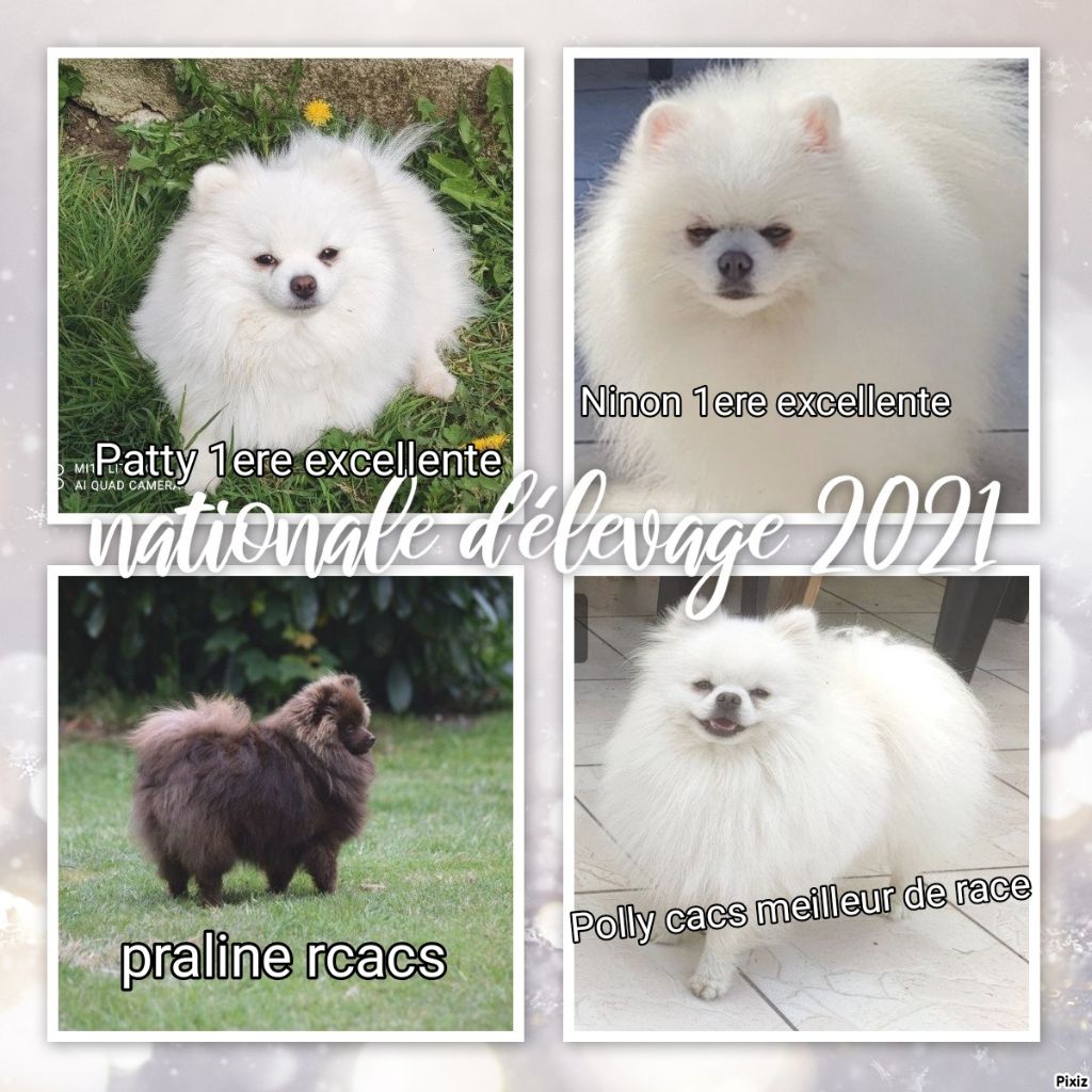 du jardin de Mesoz - Nationale d'élevage 2021