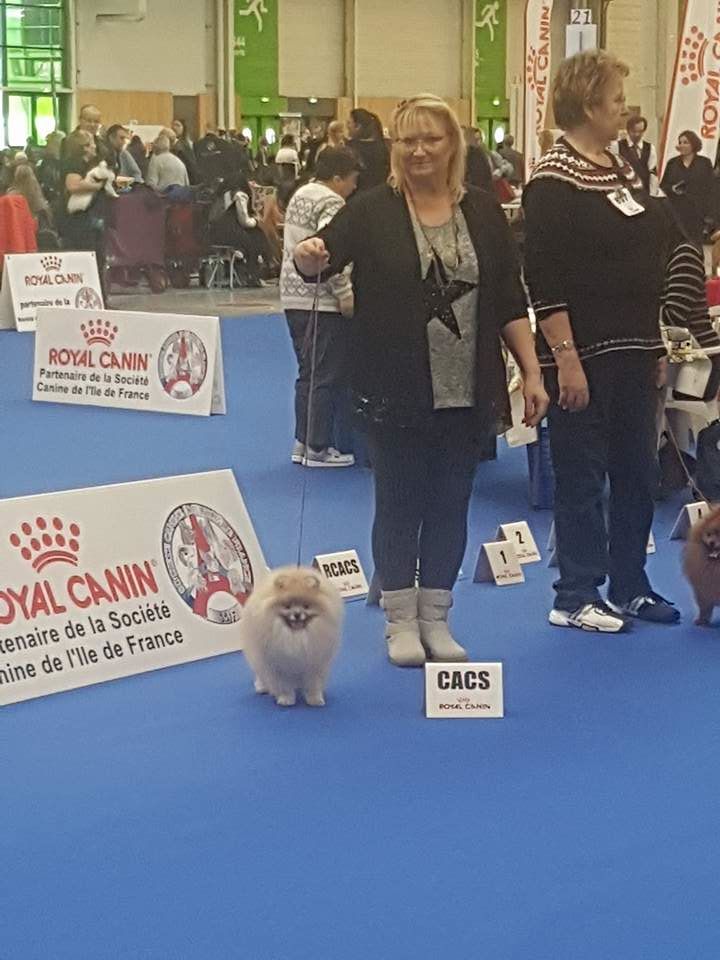 du jardin de Mesoz - resultats de Paris dog show 2018