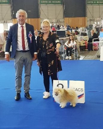 du jardin de Mesoz - grand prix de France pour lupin du temple d adonis