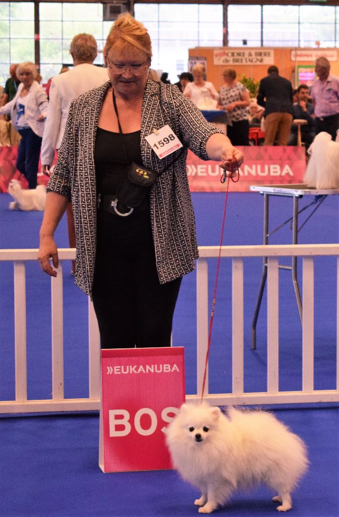 du jardin de Mesoz - LISTEL DE BRACHY BLANCHE CHAMPIONNE DE FRANCE 2017