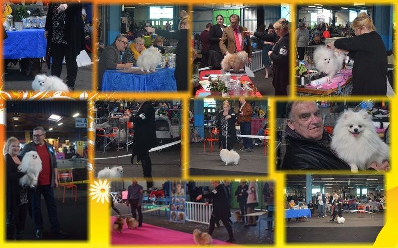 du jardin de Mesoz - resultats de le NE 17/03/2018 a Monlucon