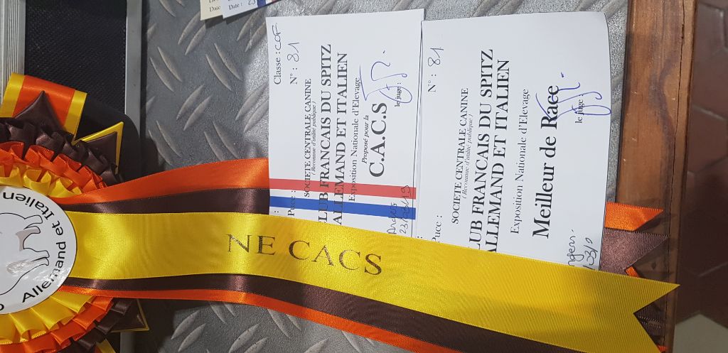 du jardin de Mesoz - Résultats de la nationale d élevage à Angers
