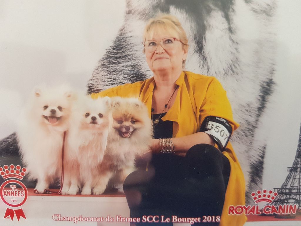 du jardin de Mesoz - Champion de France au Bourget 2018 classe jeune blanc
