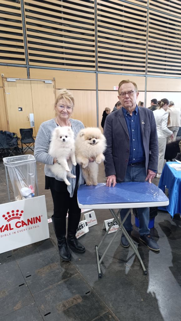 du jardin de Mesoz - RESULTATS DU PARIS DOG SHOW 6 JANVIER 2024