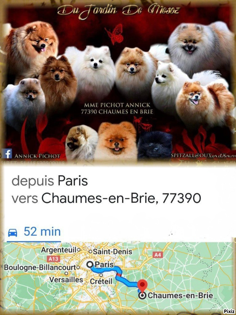 Plan - du jardin de Mesoz du jardin de Mesoz